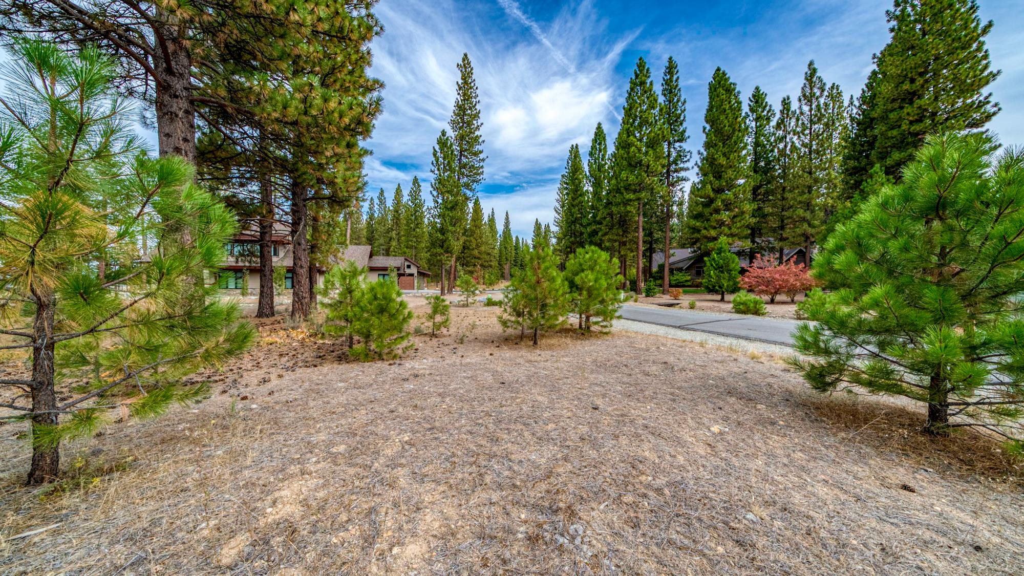 503 Redtail Loop Road Clio, CA 96106 - Photo 23 of 38