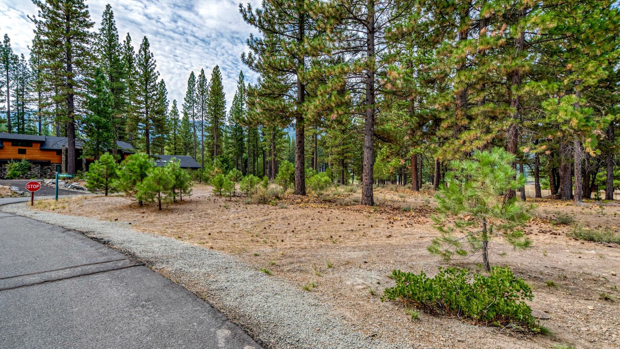 503 Redtail Loop Road Clio, CA 96106 - Photo 25 of 38