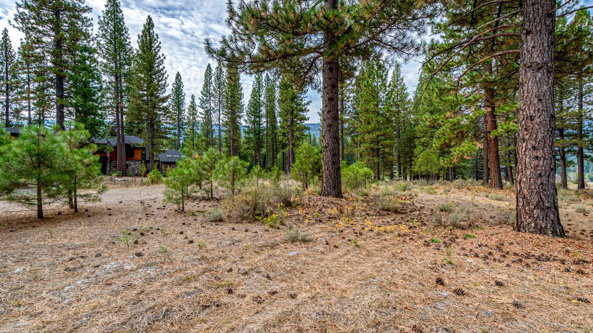 503 Redtail Loop Road Clio, CA 96106 - Photo 26 of 38