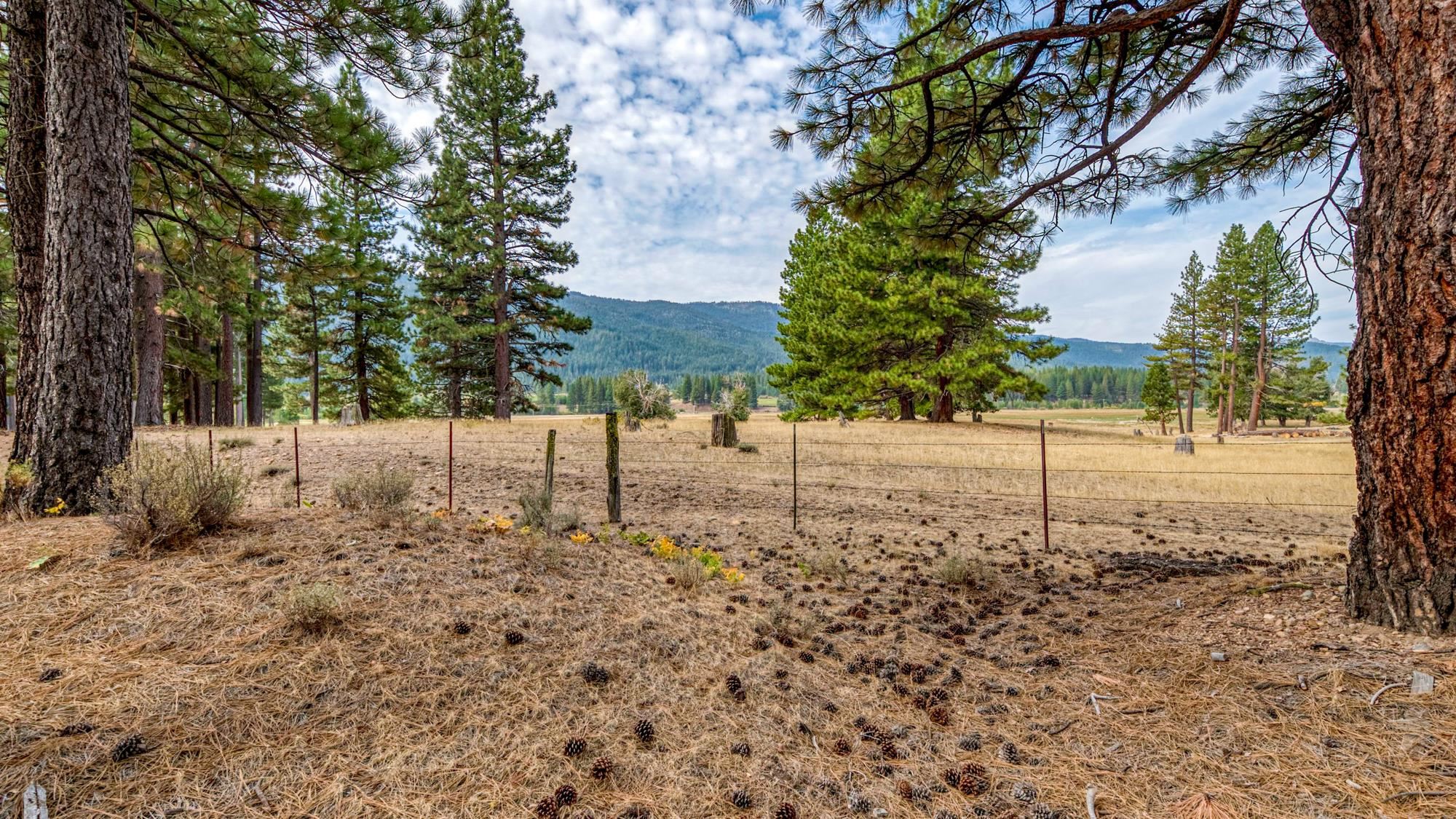 503 Redtail Loop Road Clio, CA 96106 - Photo 3 of 38