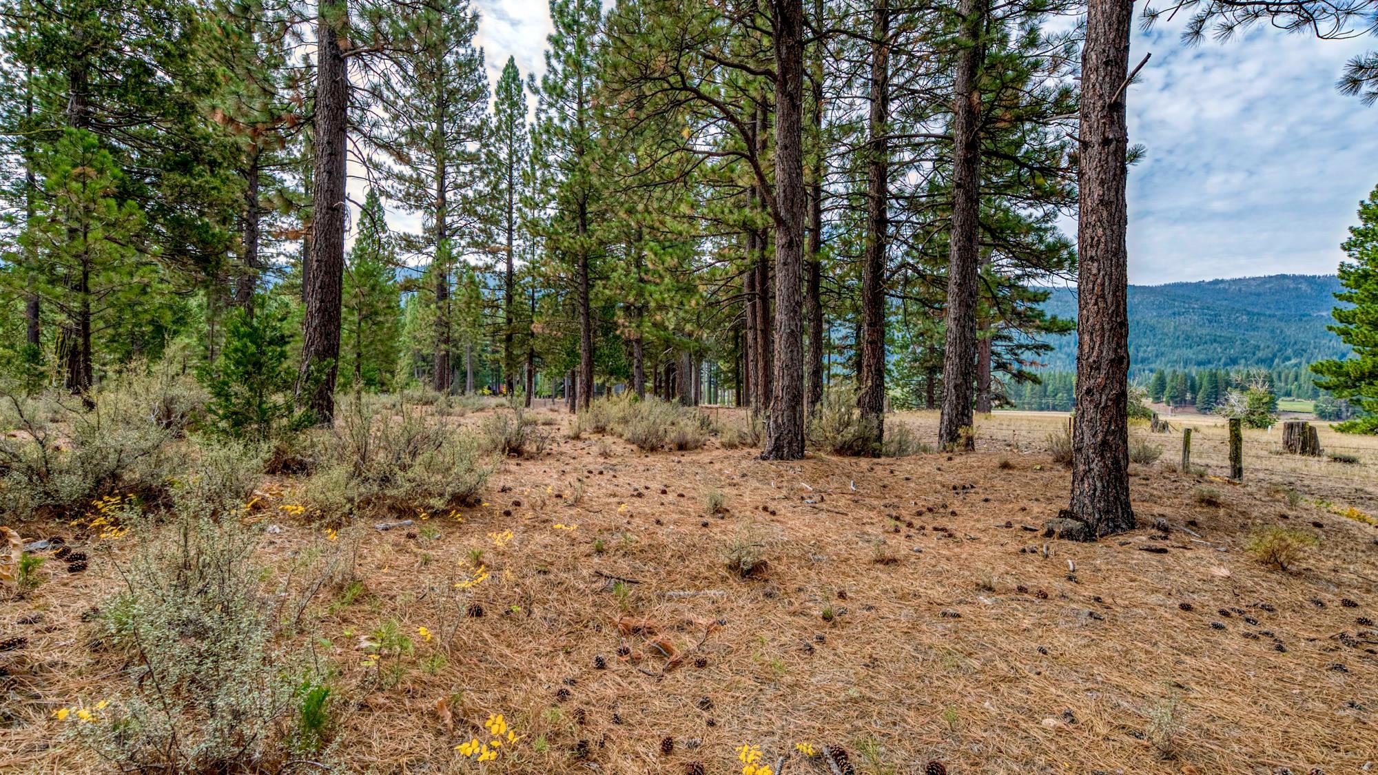 503 Redtail Loop Road Clio, CA 96106 - Photo 31 of 38