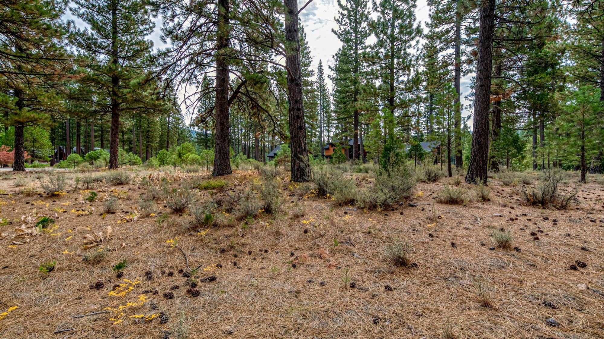 503 Redtail Loop Road Clio, CA 96106 - Photo 32 of 38