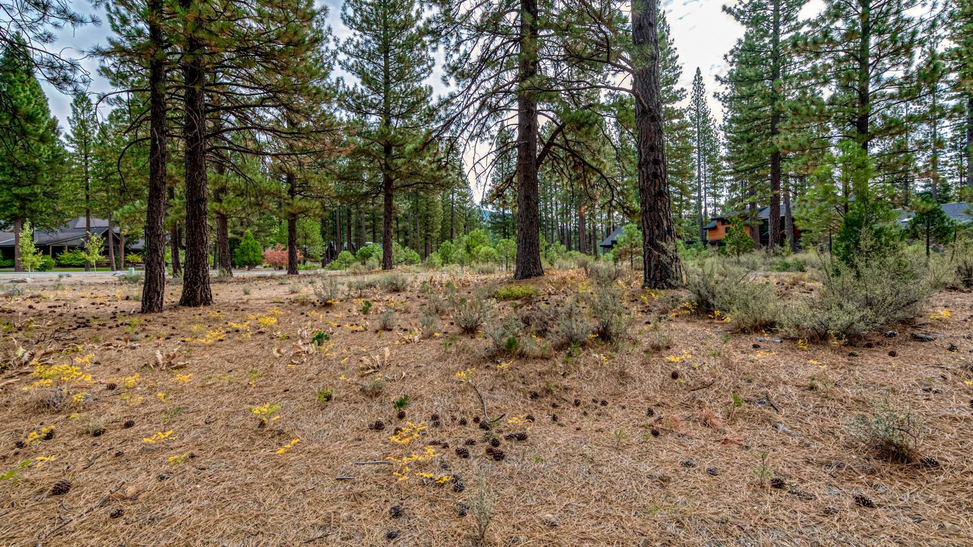 503 Redtail Loop Road Clio, CA 96106 - Photo 33 of 38
