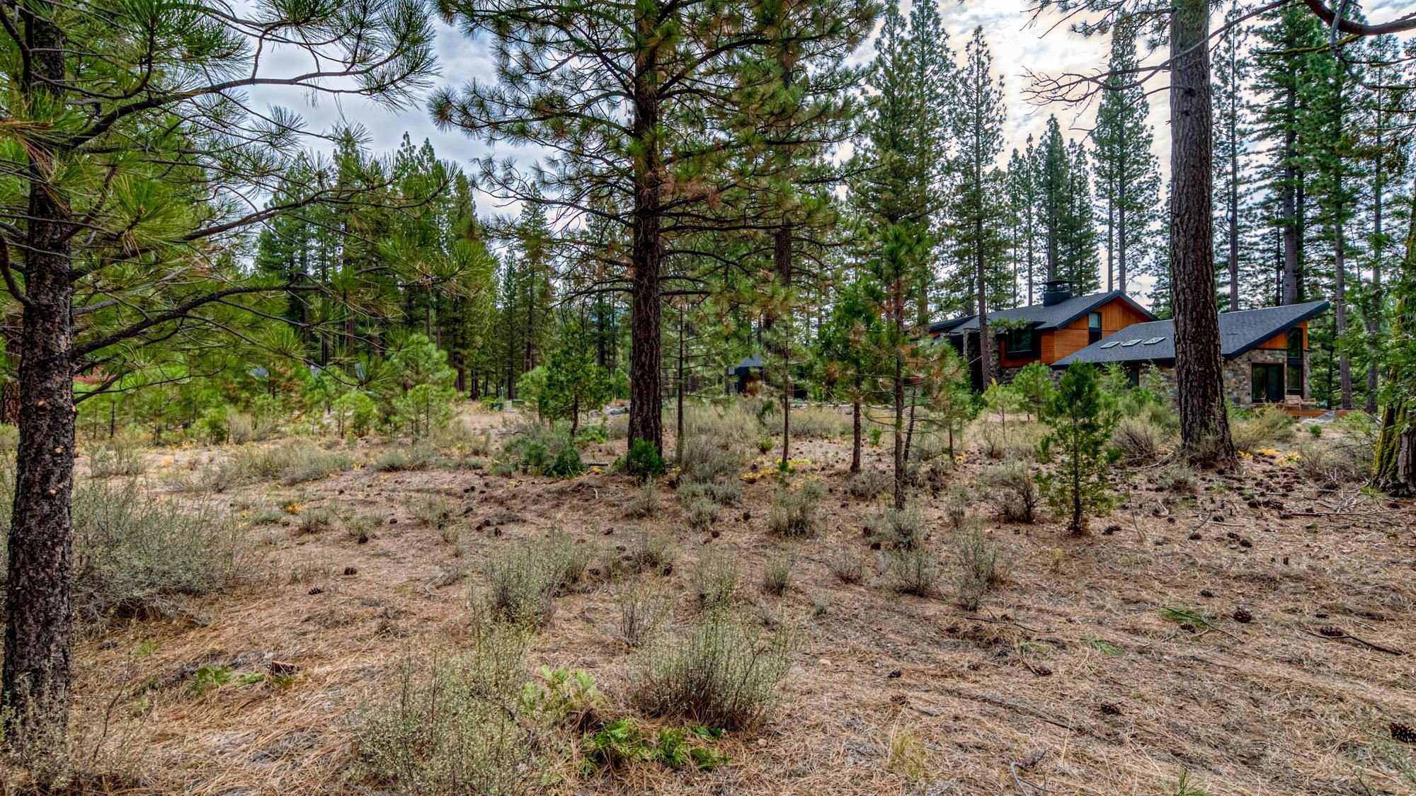 503 Redtail Loop Road Clio, CA 96106 - Photo 35 of 38