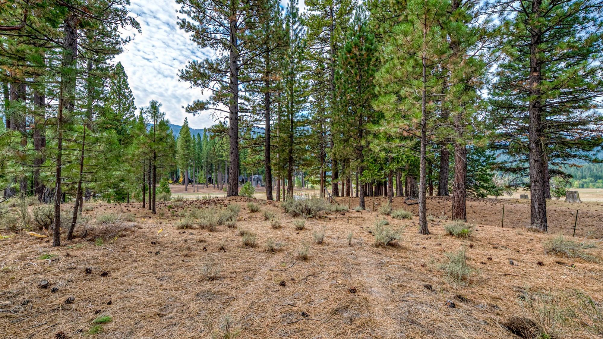503 Redtail Loop Road Clio, CA 96106 - Photo 36 of 38