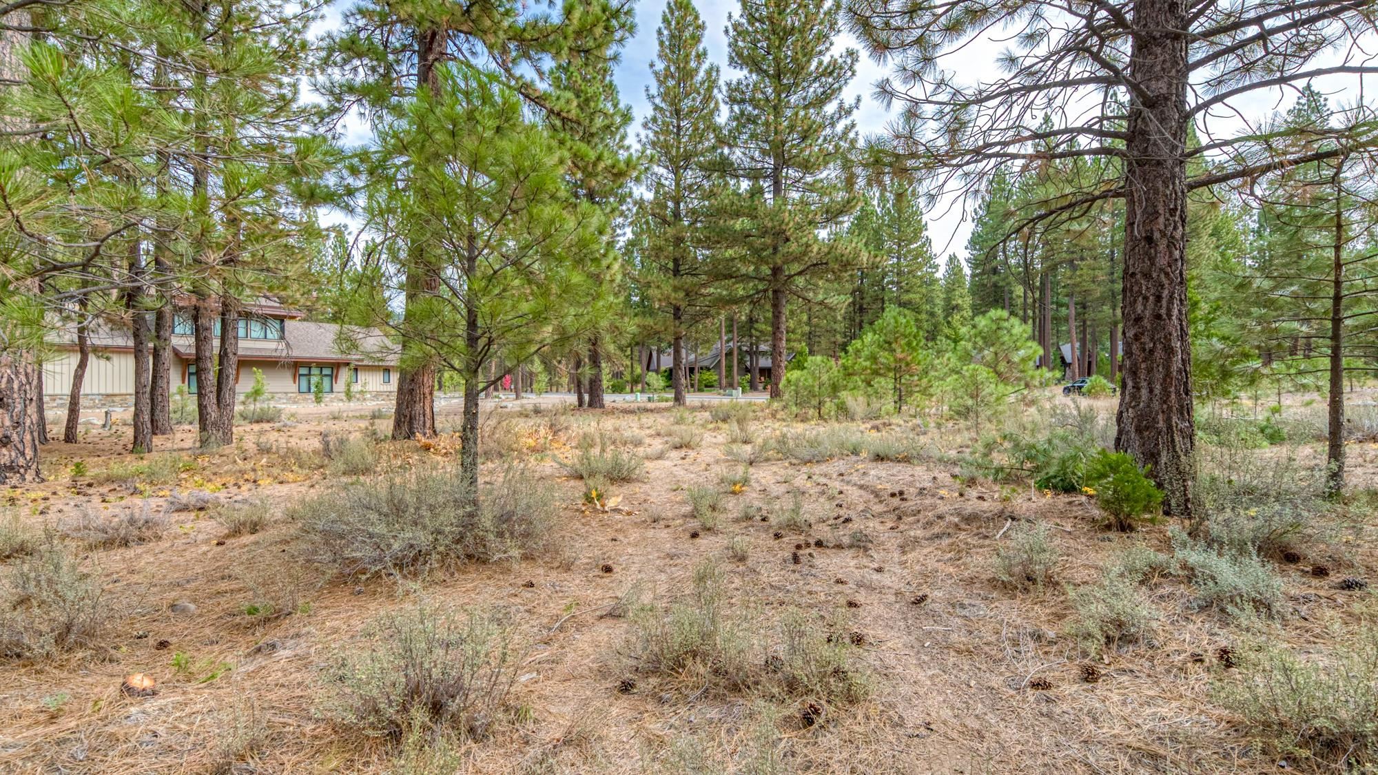 503 Redtail Loop Road Clio, CA 96106 - Photo 37 of 38