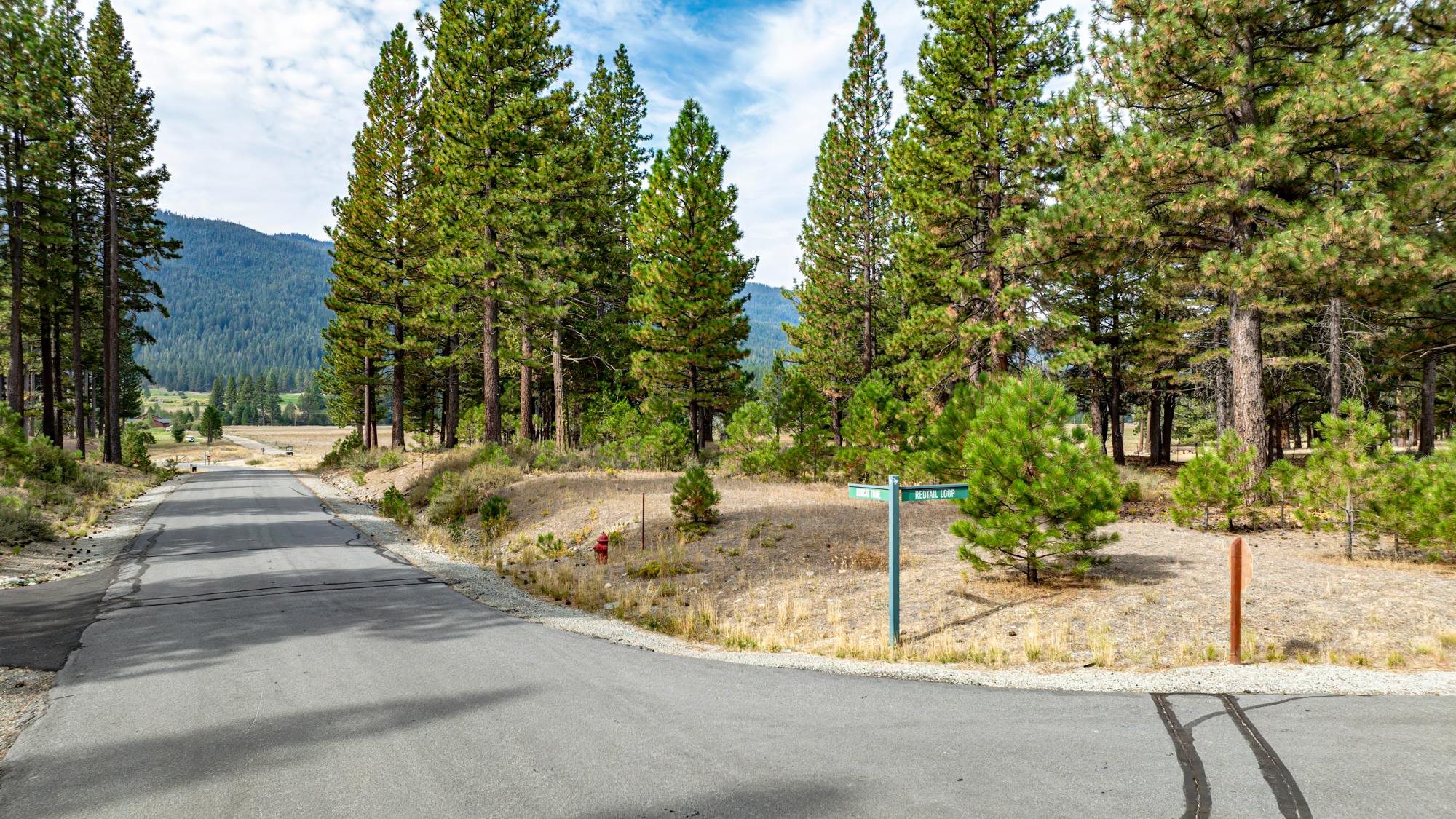 503 Redtail Loop Road Clio, CA 96106 - Photo 4 of 38