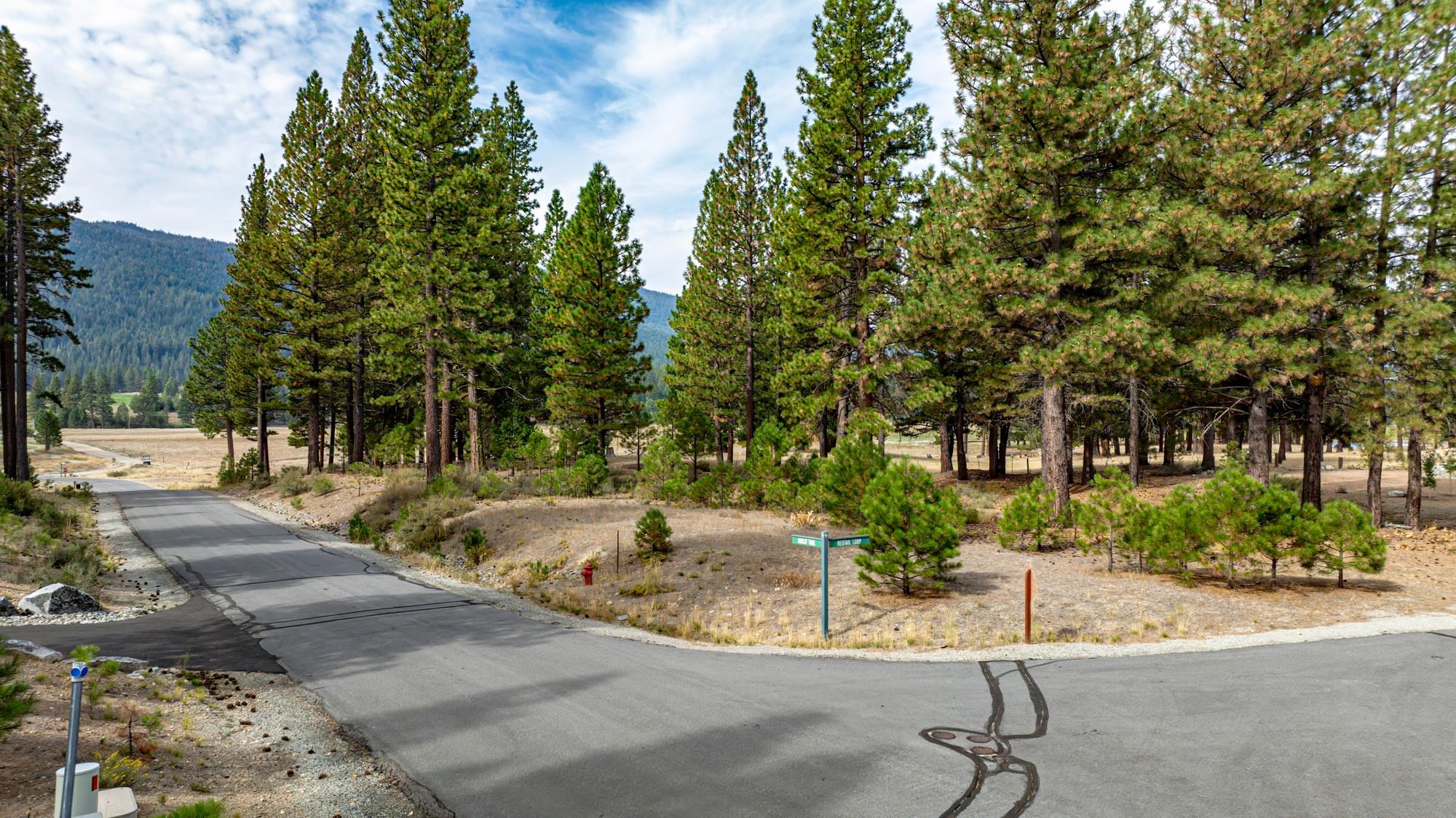 503 Redtail Loop Road Clio, CA 96106 - Photo 5 of 38