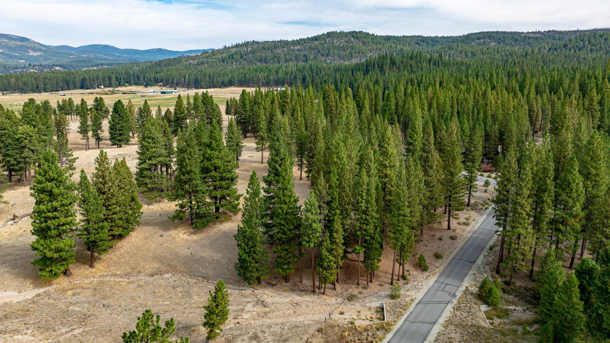 503 Redtail Loop Road Clio, CA 96106 - Photo 8 of 38