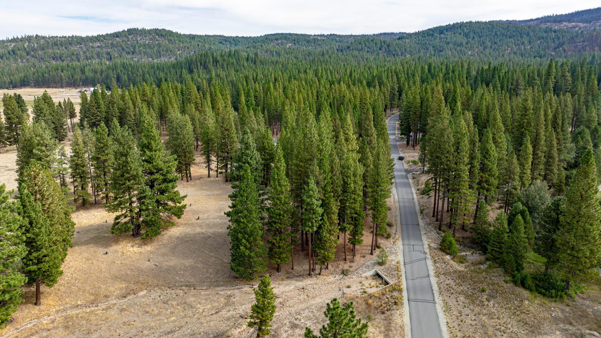 503 Redtail Loop Road Clio, CA 96106 - Photo 9 of 38