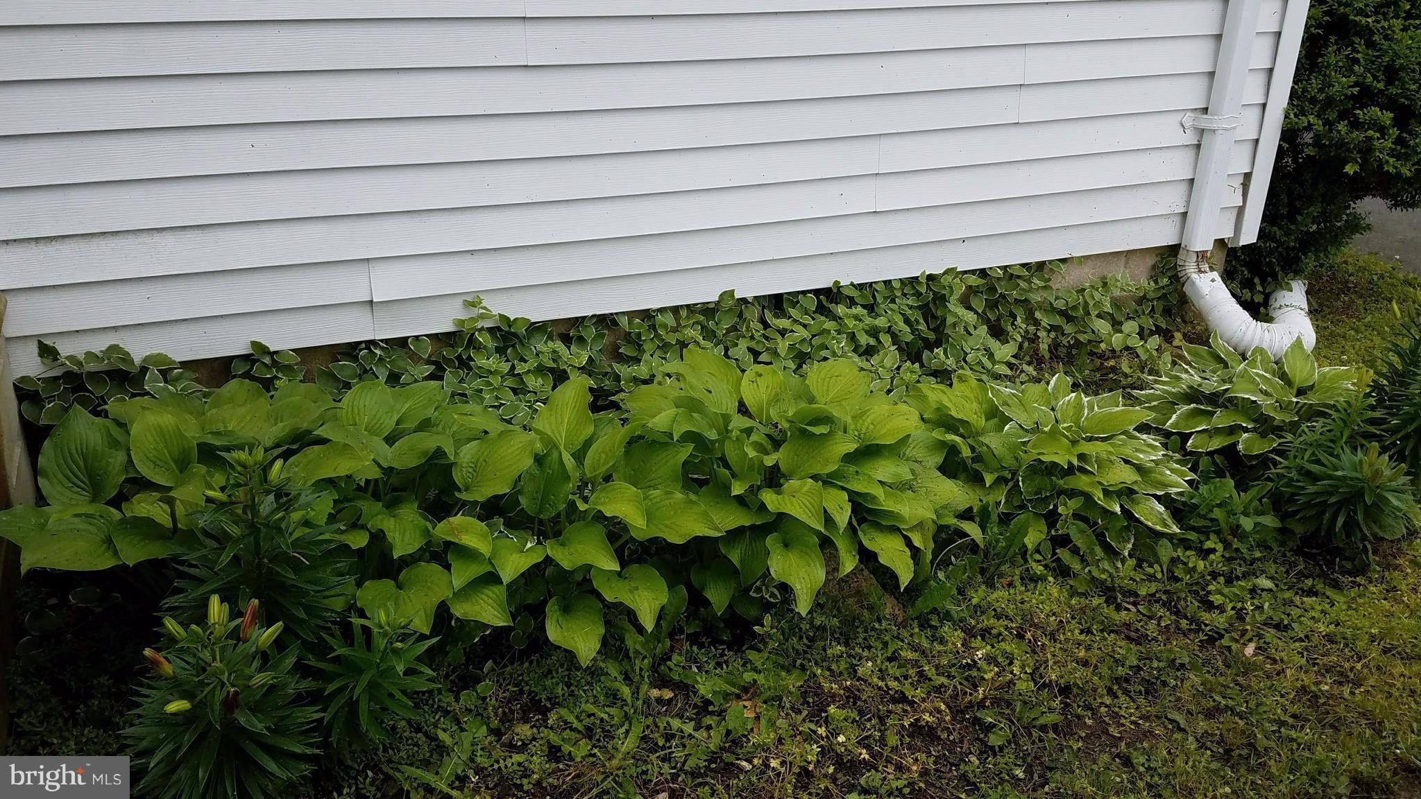 7 Patamoke Way Cambridge, MD 21613 - Photo 12 of 19 Exterior (General)