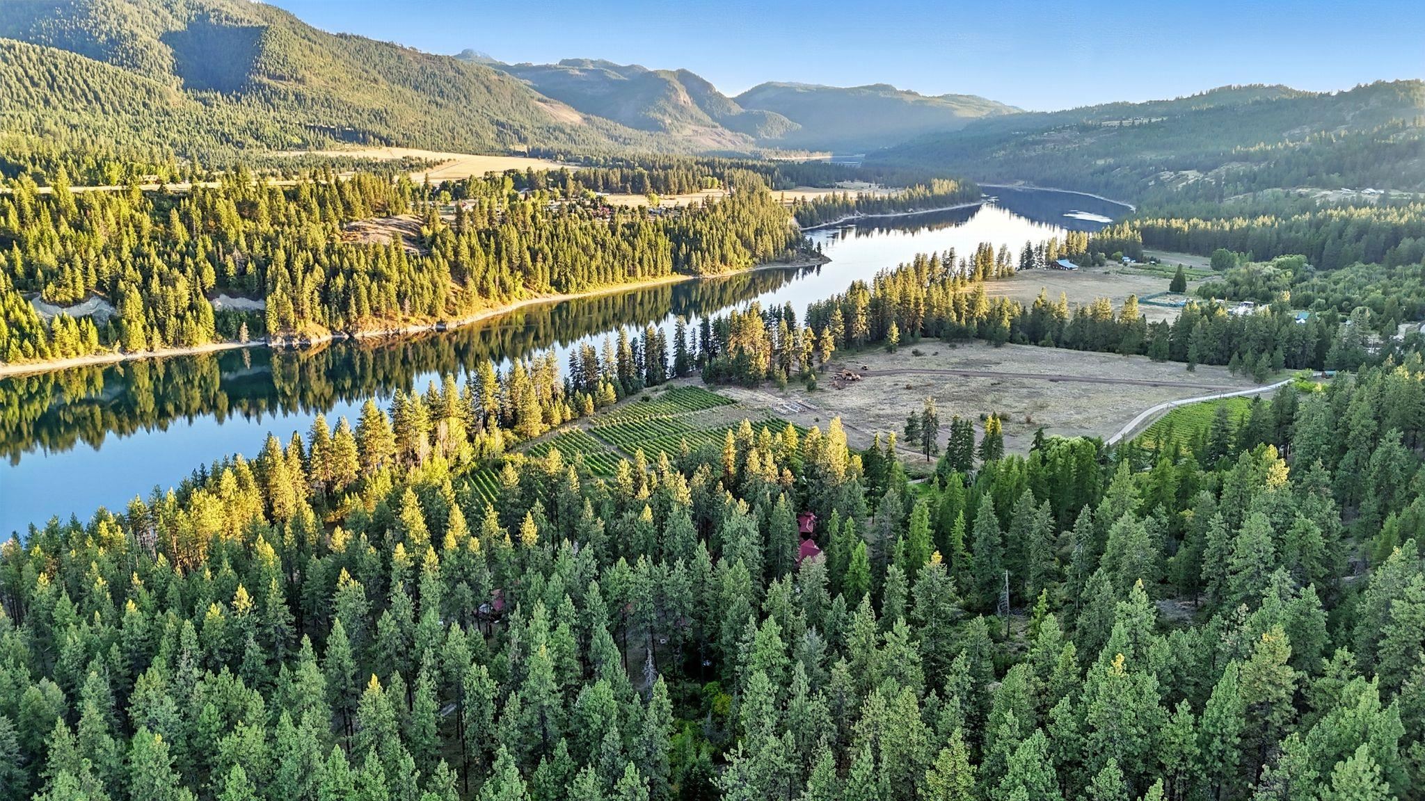 3752 Vineyard Way Kettle Falls, WA 99141 - Photo 48 of 50