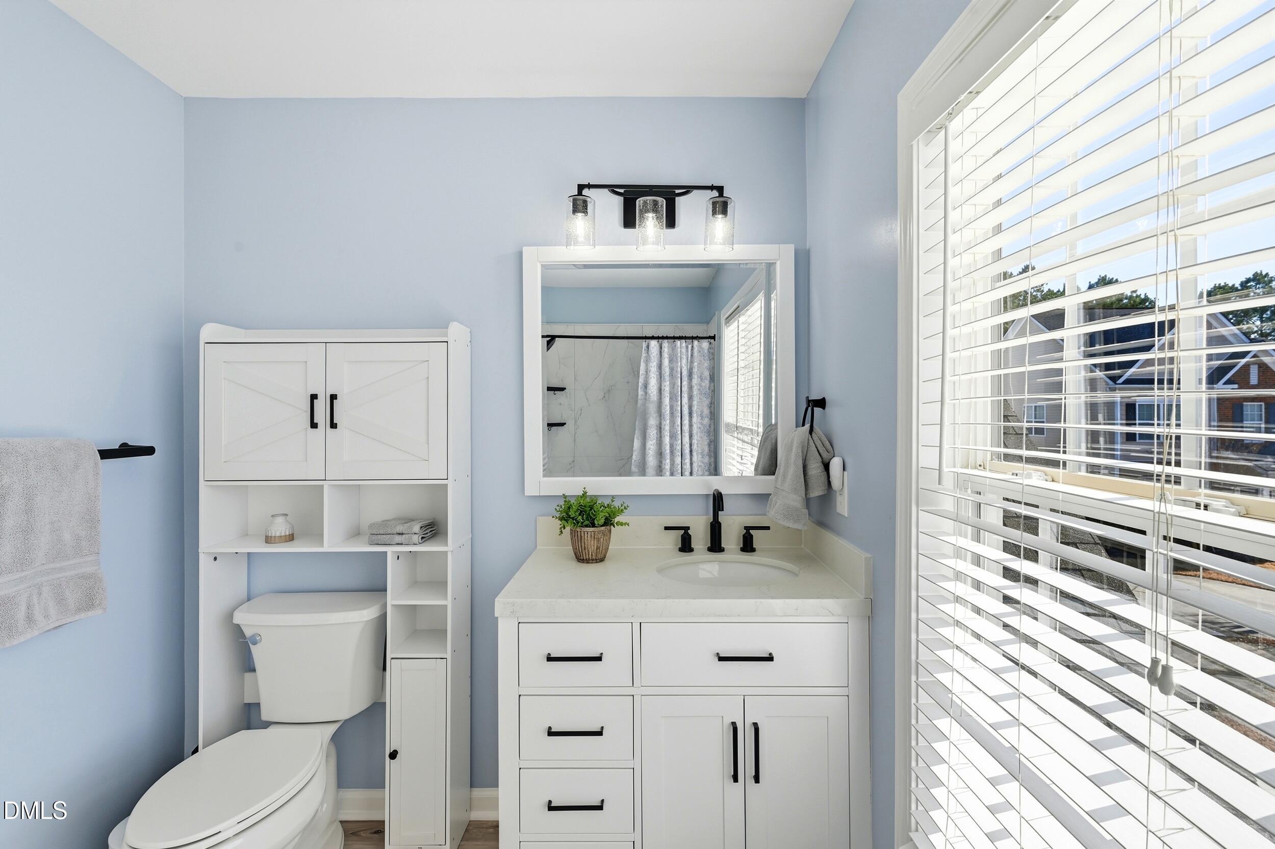 5401 Onyx Mill Court Raleigh, NC 27616 - Photo 35 of 48 a bathroom with a sink a toilet and shower