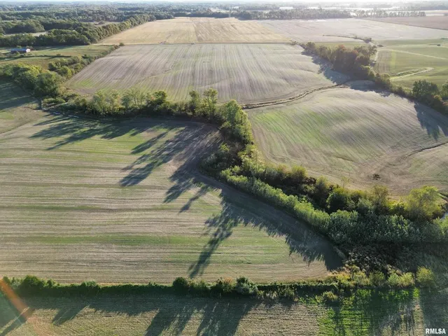 $922,000 | 0 County Road 2100 N County Road, Cisne, IL 62823