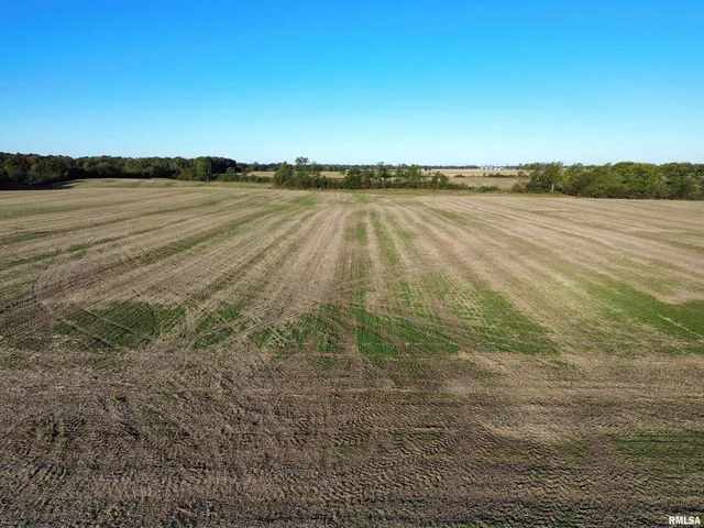 $922,000 | 0 County Road 2100 N County Road, Cisne, IL 62823