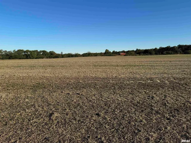 $922,000 | 0 County Road 2100 N County Road, Cisne, IL 62823