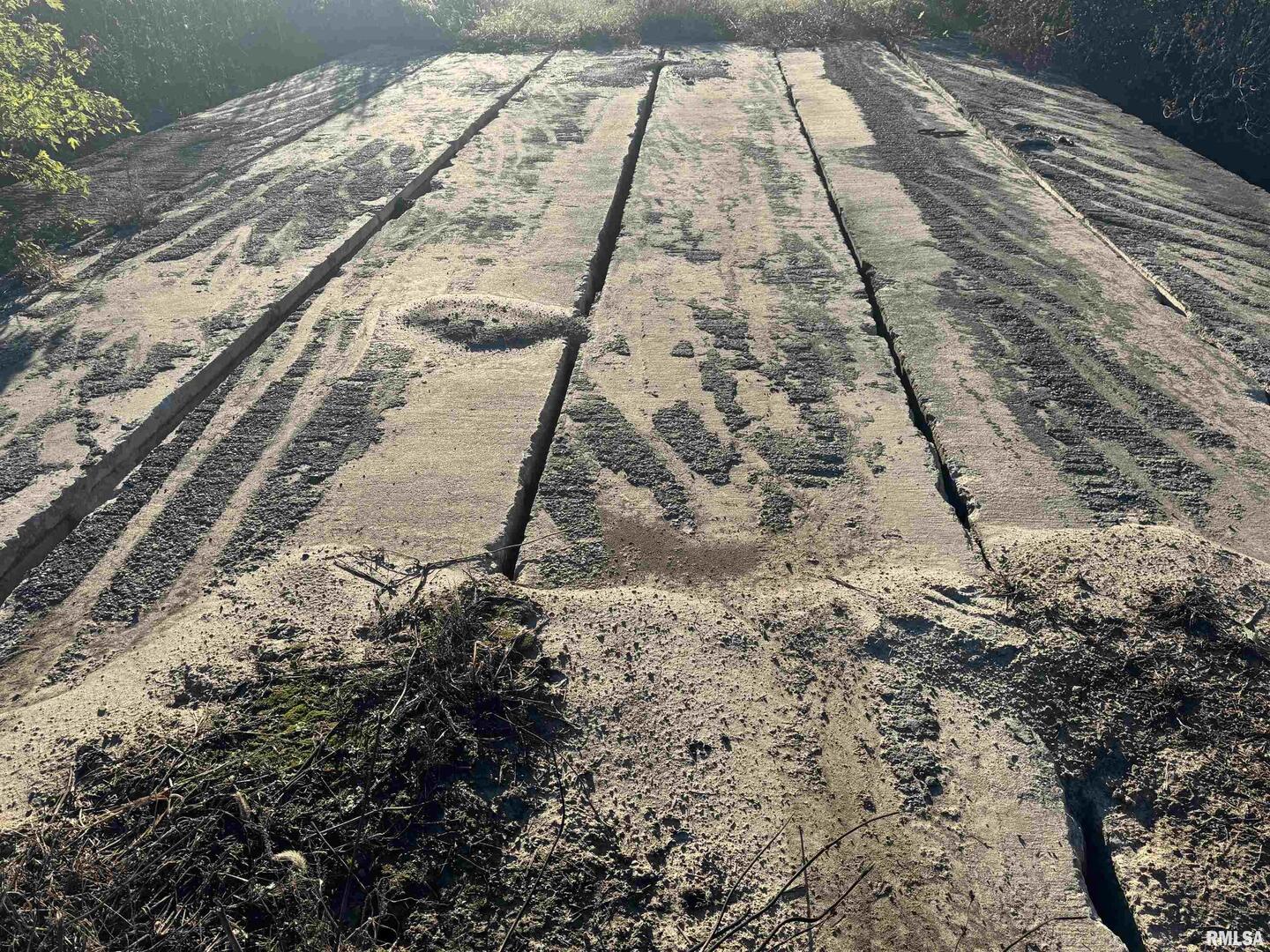 0 County Road 2100 N County Road Cisne, IL 62823 - Photo 18 of 20 a view of a yard