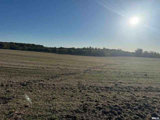 $922,000 | 0 County Road 2100 N County Road, Cisne, IL 62823