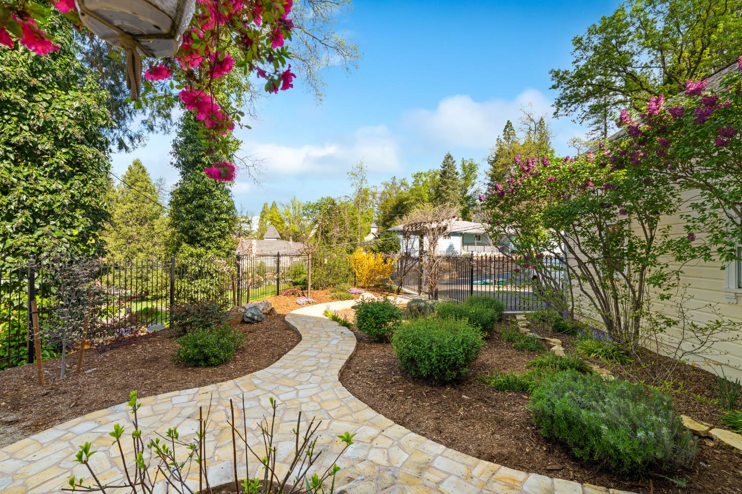 990 Thompson Way Placerville, CA 95667 - Photo 11 of 70 a view of a garden with flowers and trees