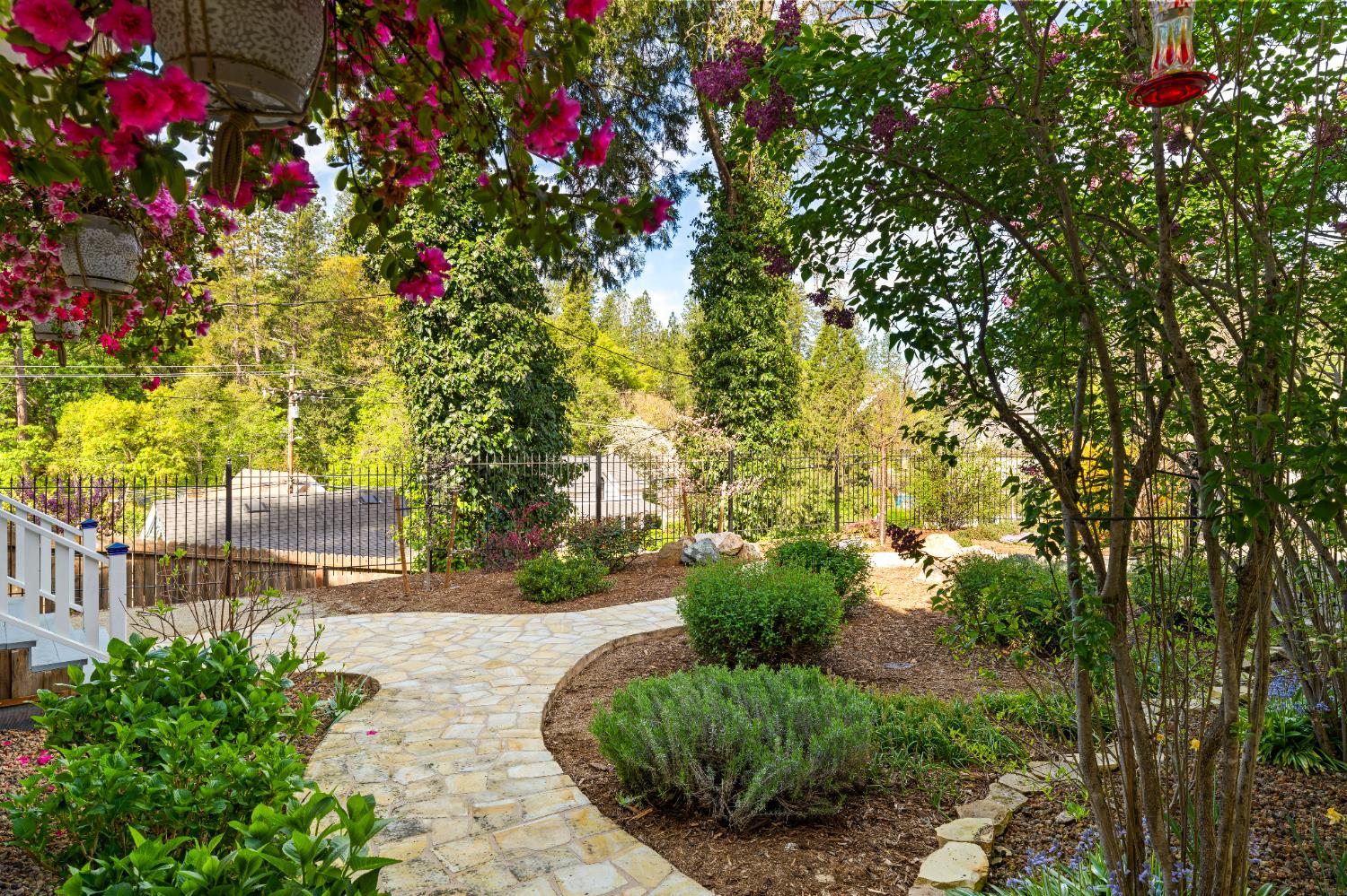 990 Thompson Way Placerville, CA 95667 - Photo 35 of 70