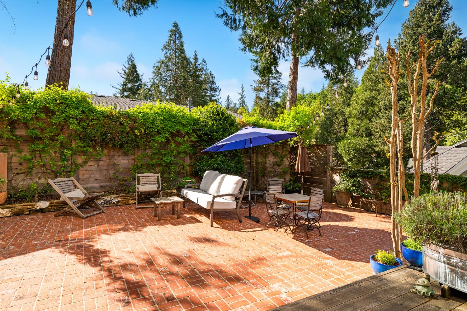 990 Thompson Way Placerville, CA 95667 - Photo 59 of 70 a view of backyard with outdoor seating and trees