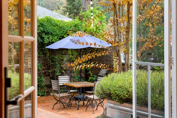 a view of a garden with flowers and trees