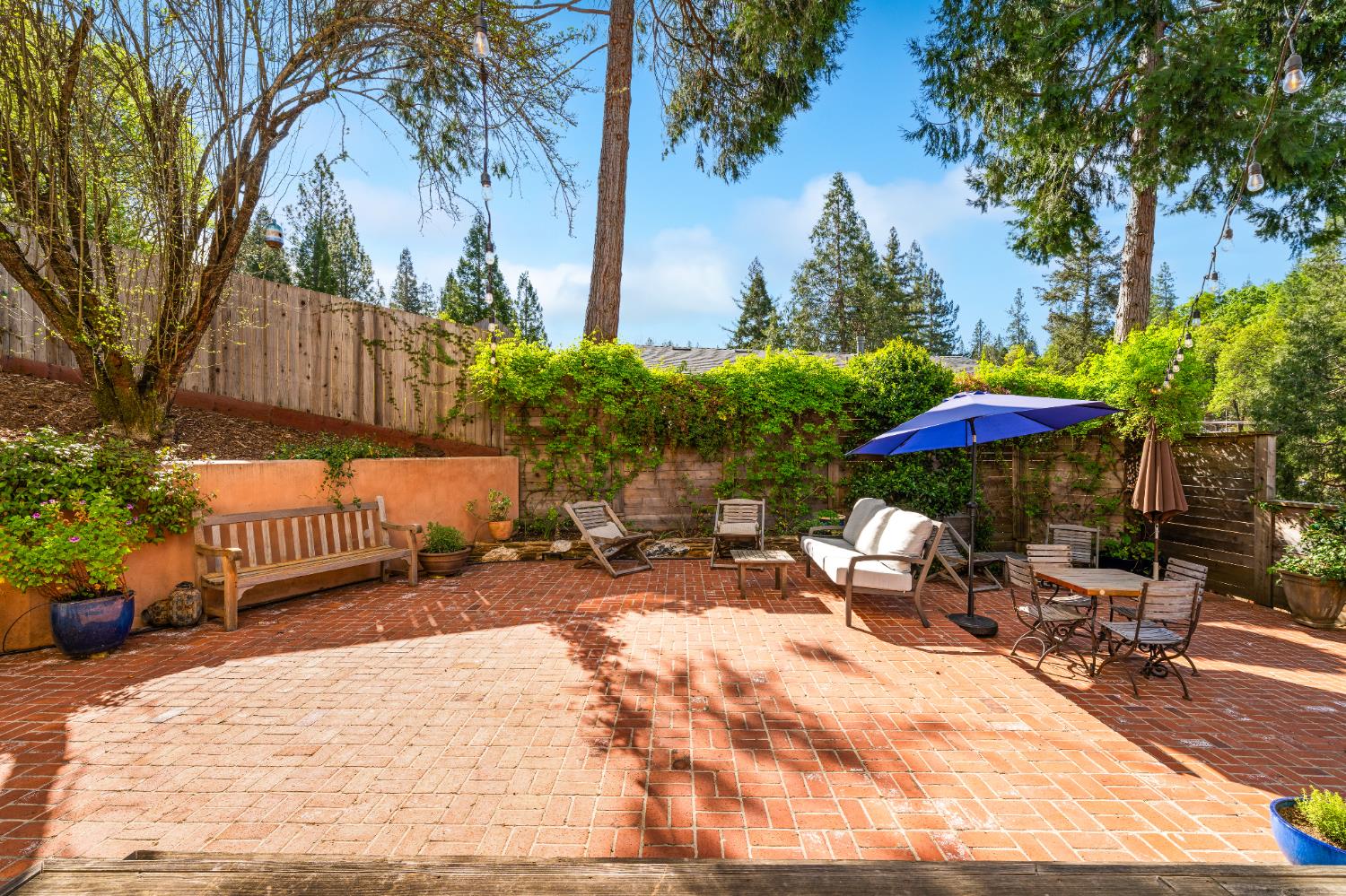 990 Thompson Way Placerville, CA 95667 - Photo 10 of 70 a view of backyard with outdoor seating and trees