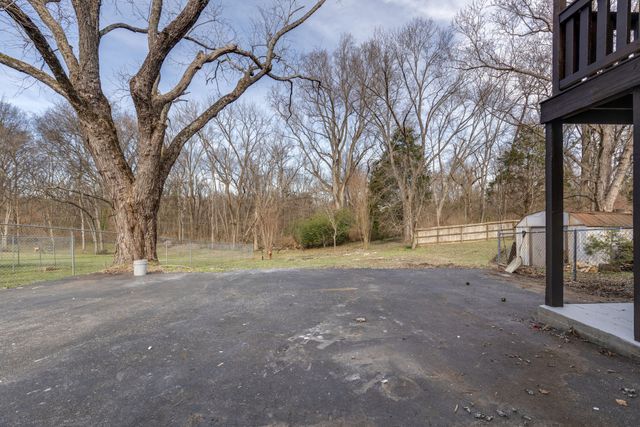 a view of dirt yard with a large tree