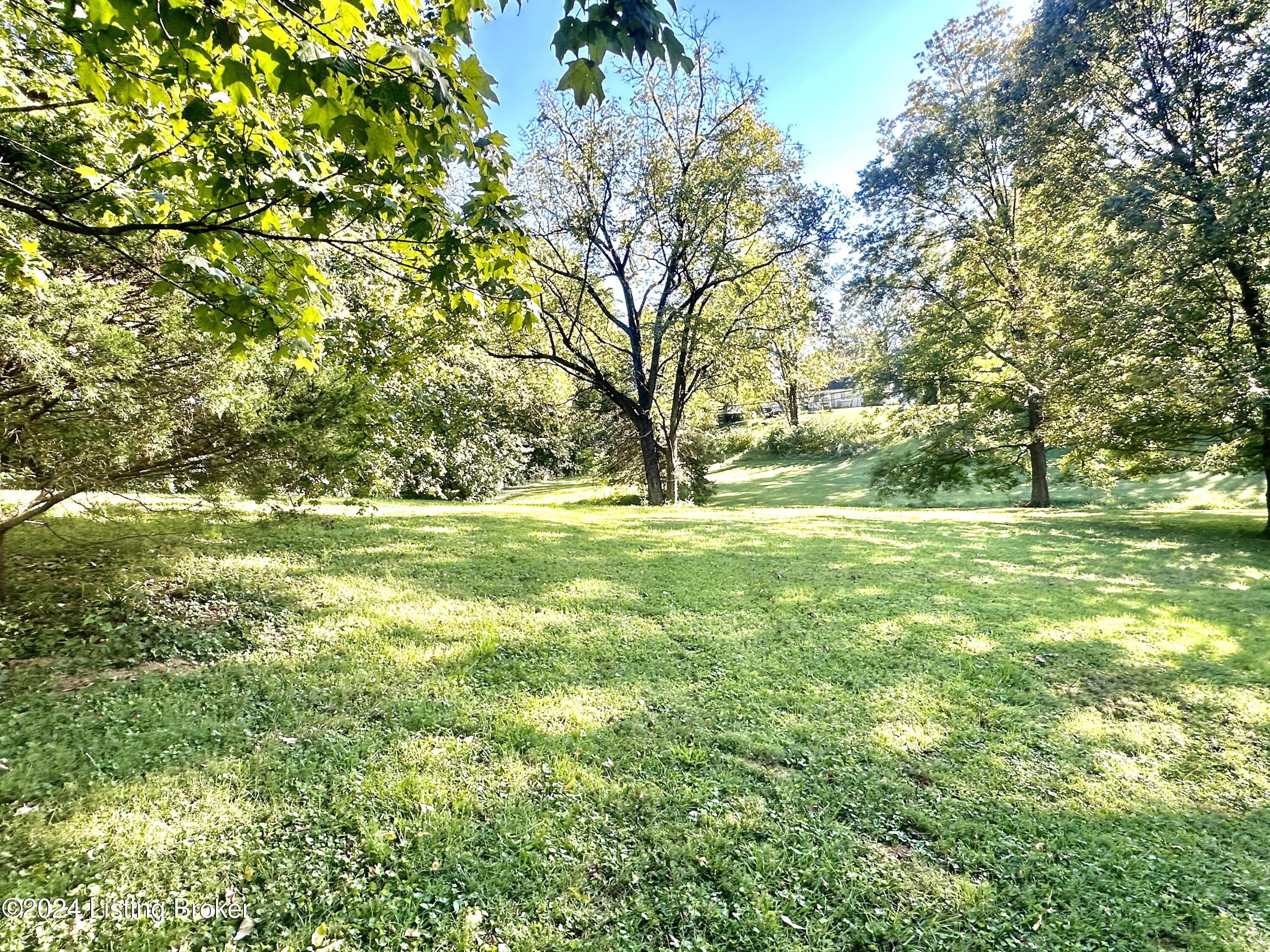515 Bloomfield Road Bardstown, KY 40004 - Photo 53 of 59 IMG_4816 2