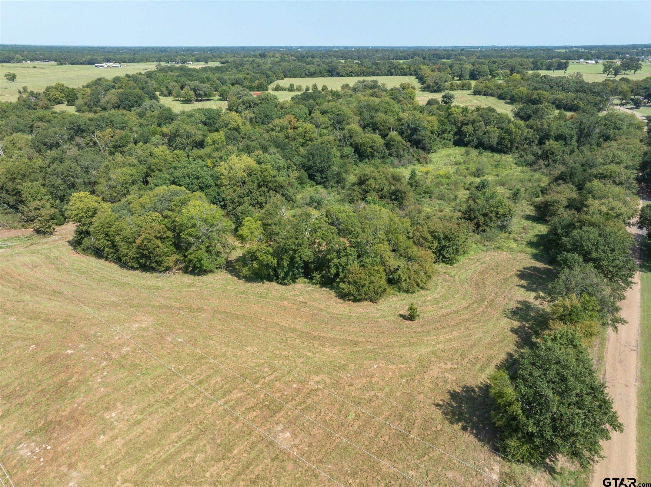 2411 VZ County Road Canton, TX 75103 - Photo 8 of 12