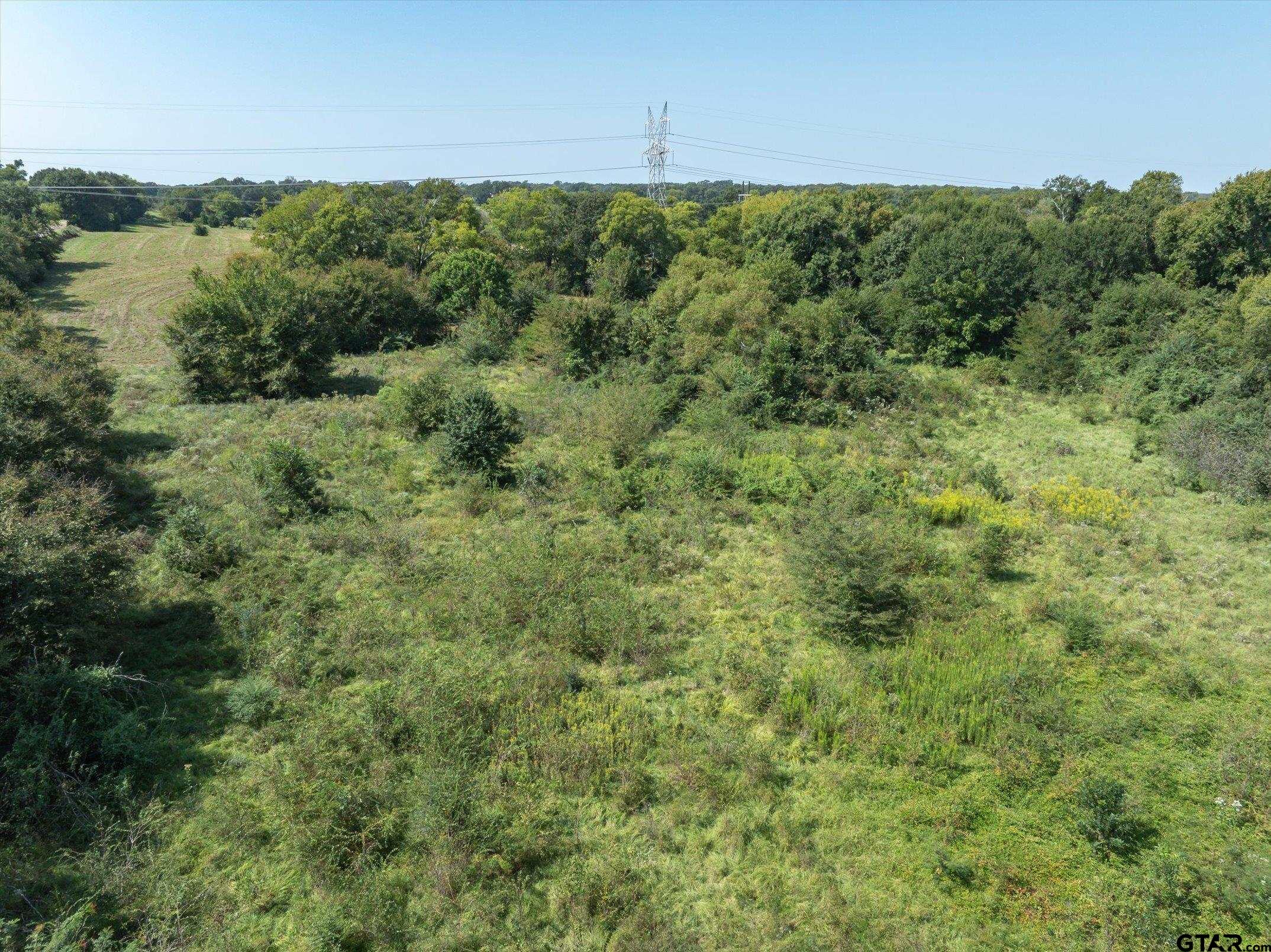 2411 VZ County Road Canton, TX 75103 - Photo 10 of 12 a view of a forest with a building in the background