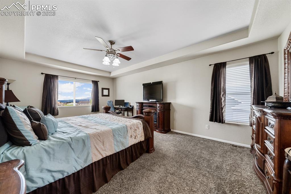 1465 Bowstring Road Monument, CO 80132 - Photo 24 of 49 a bed room with a bed and a television