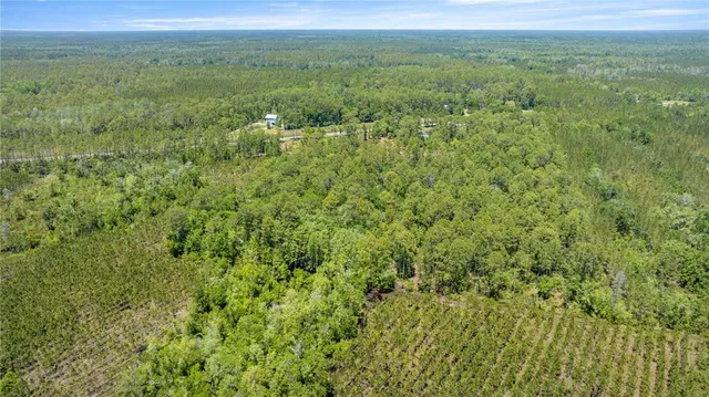 a view of a lush green field