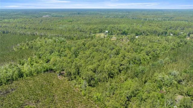 a view of a green field with lots of bushes