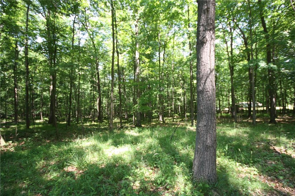 1993 Dennison Run Road Polk, PA 16342 - Photo 14 of 15 Front yard