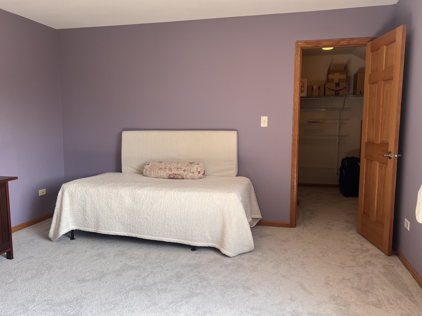 21367 Brittany Drive Frankfort, IL 60423 - Photo 23 of 58