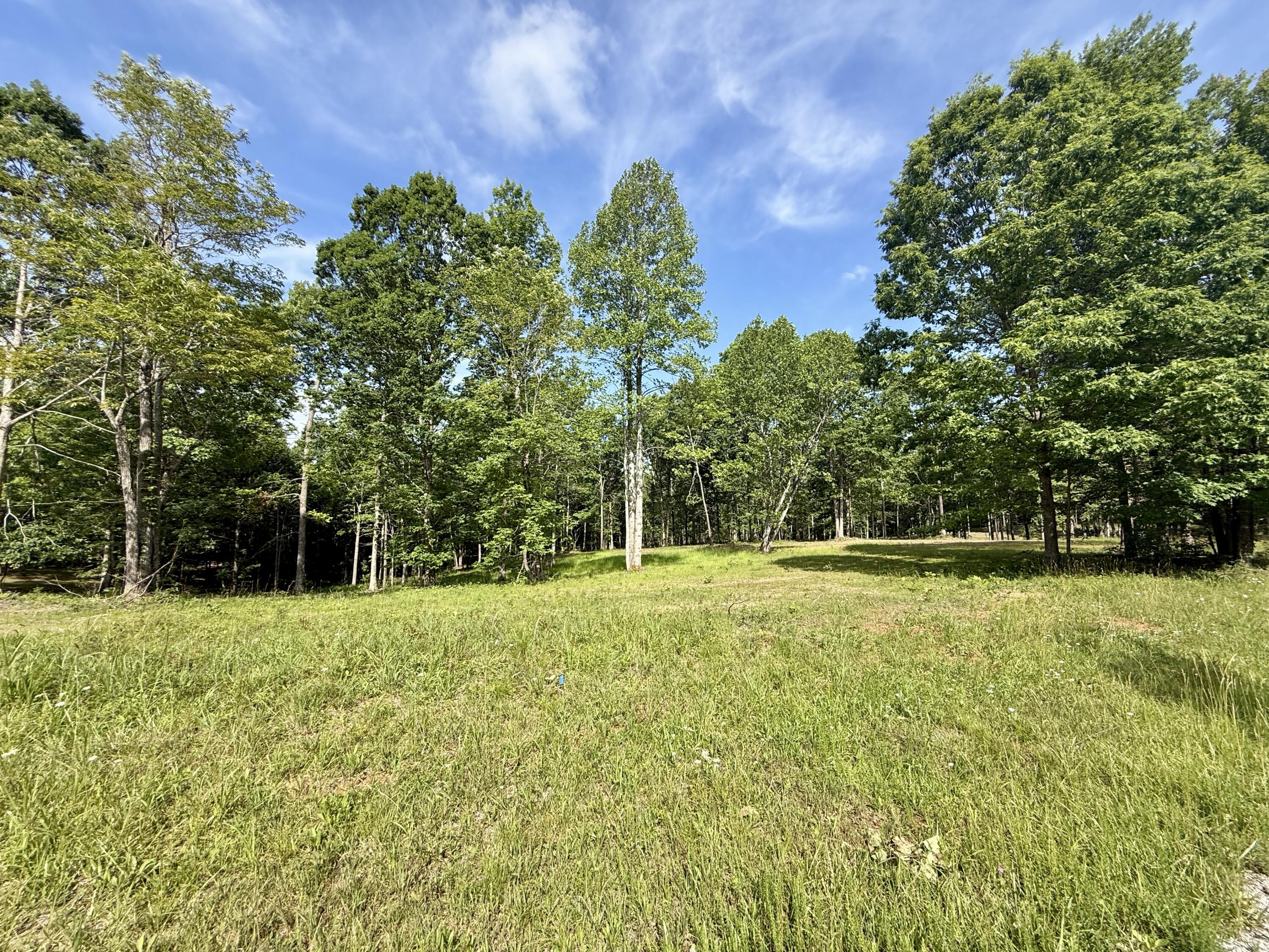 Lot 5 Hobbstown Road, Unit 5 Dunlap, TN 37327 - Photo 1 of 22 IMG_1131