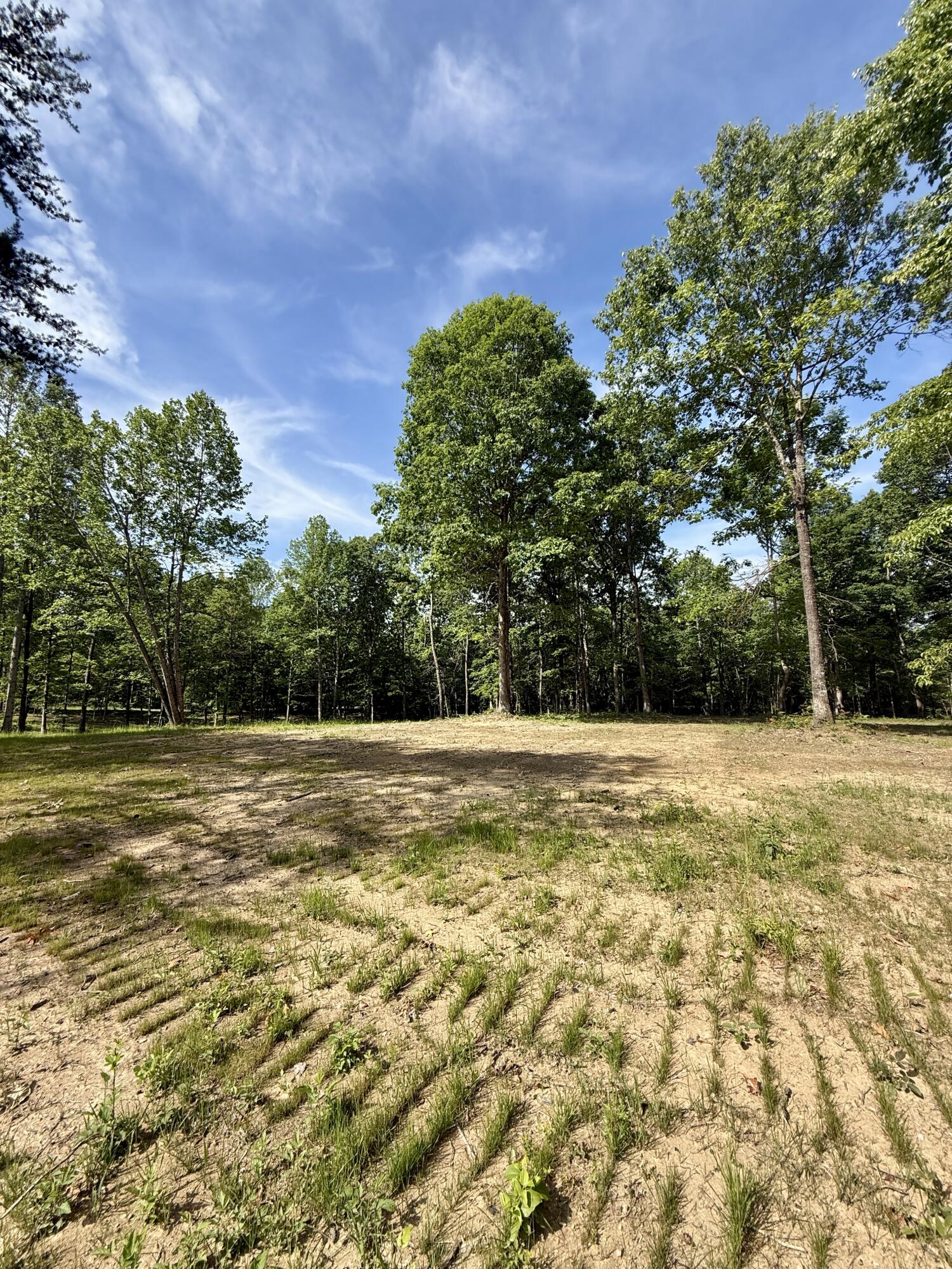 Lot 5 Hobbstown Road, Unit 5 Dunlap, TN 37327 - Photo 15 of 22 IMG_1136