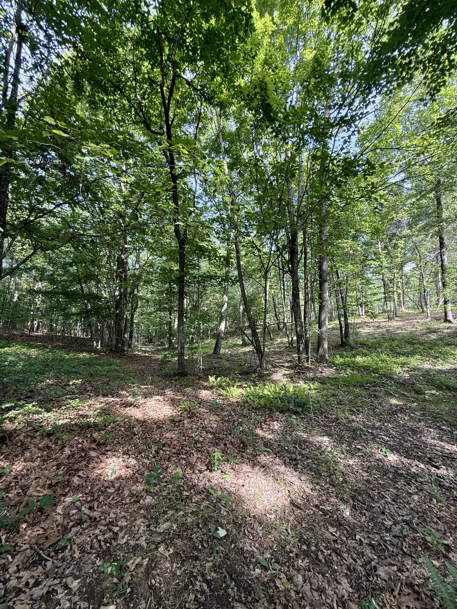 Lot 5 Hobbstown Road, Unit 5 Dunlap, TN 37327 - Photo 20 of 22 IMG_1127