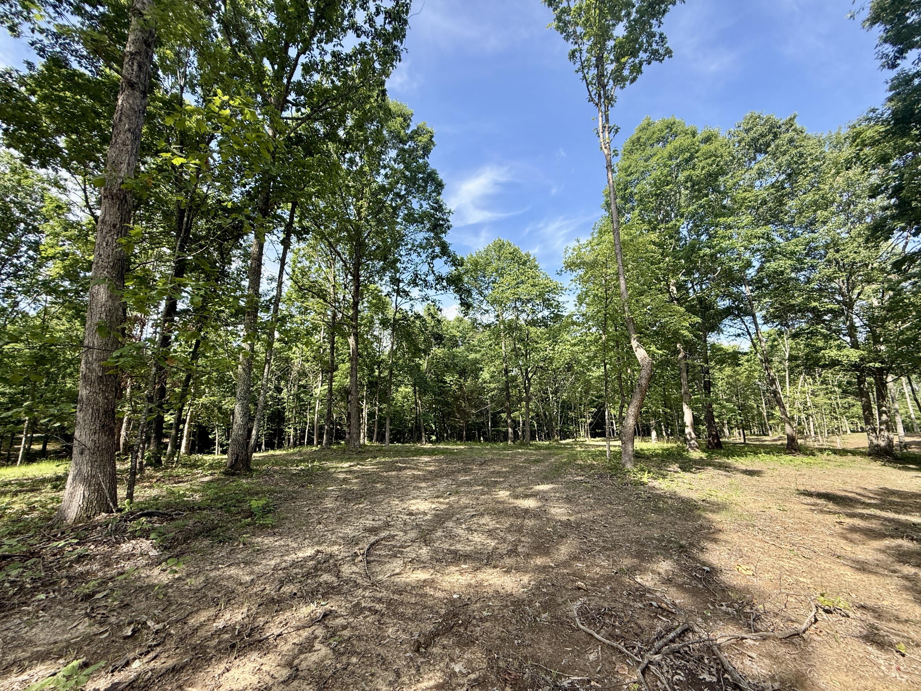 Lot 5 Hobbstown Road, Unit 5 Dunlap, TN 37327 - Photo 2 of 22 IMG_1137