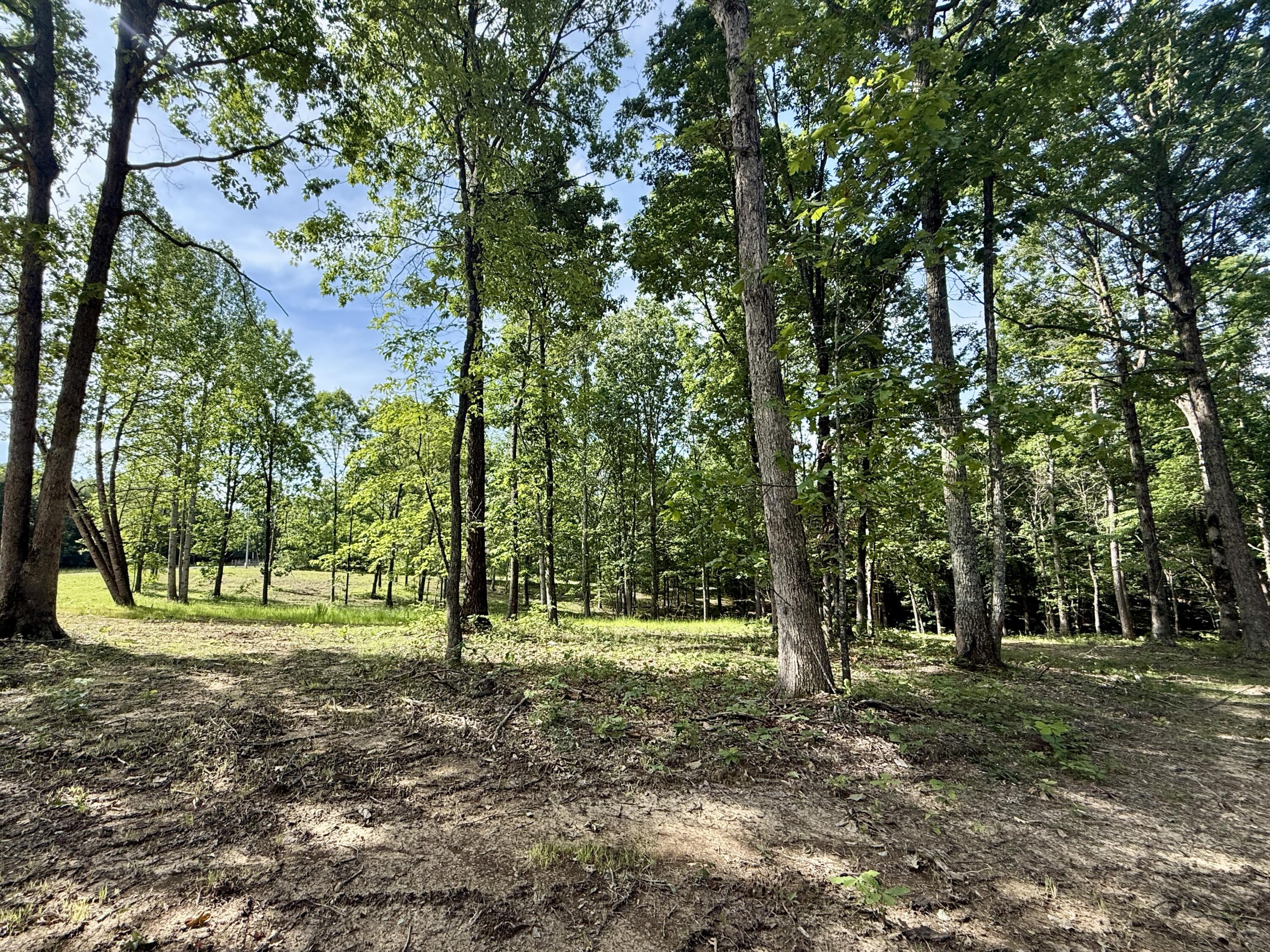 Lot 5 Hobbstown Road, Unit 5 Dunlap, TN 37327 - Photo 21 of 22 IMG_1138