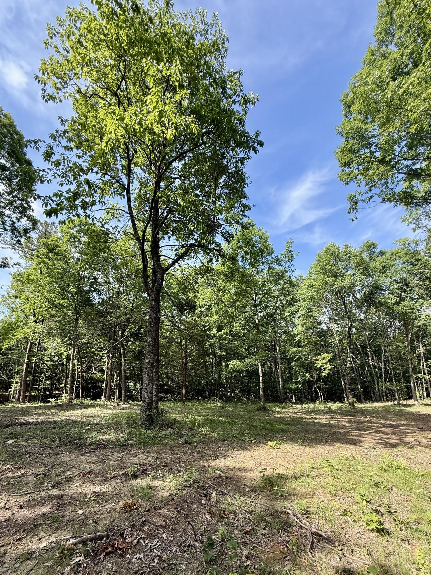 Lot 5 Hobbstown Road, Unit 5 Dunlap, TN 37327 - Photo 22 of 22 IMG_1140