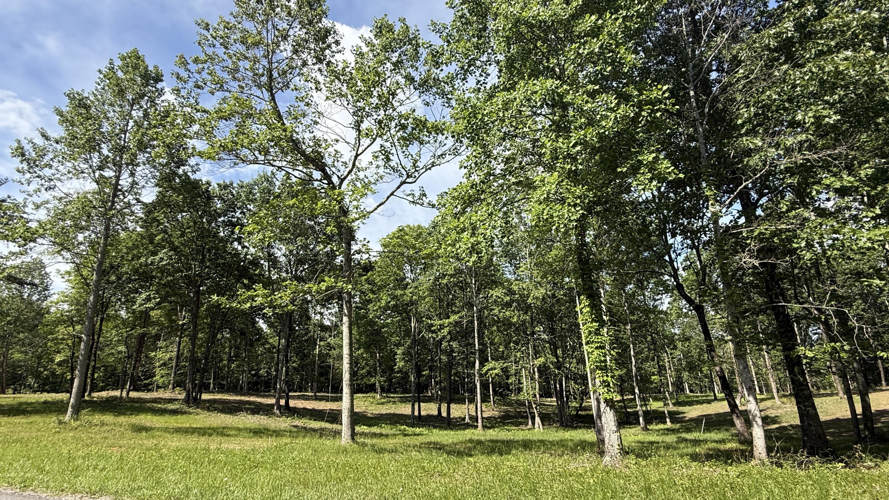 Lot 5 Hobbstown Road, Unit 5 Dunlap, TN 37327 - Photo 3 of 22 IMG_1172
