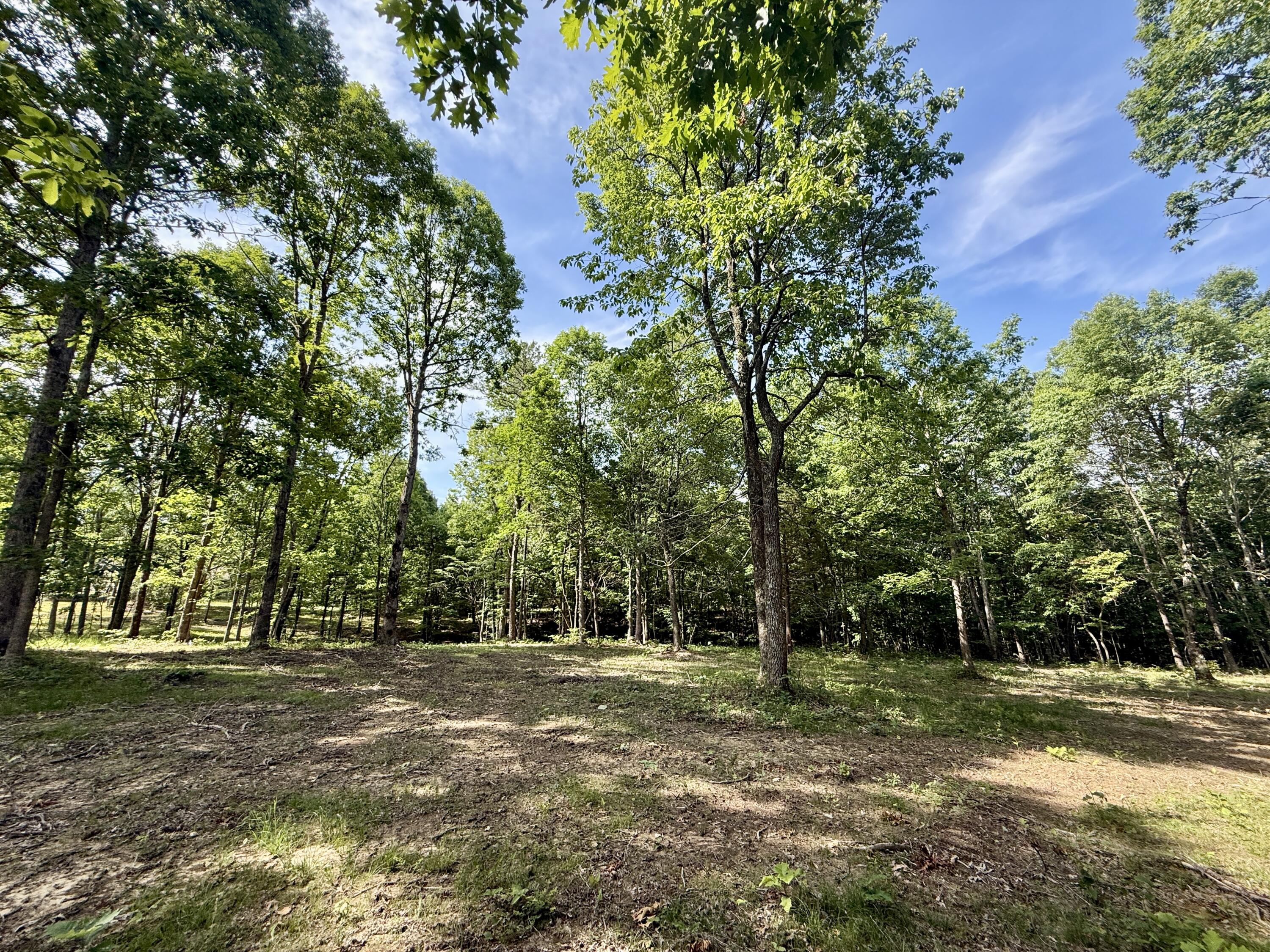 Lot 5 Hobbstown Road, Unit 5 Dunlap, TN 37327 - Photo 4 of 22 IMG_1139