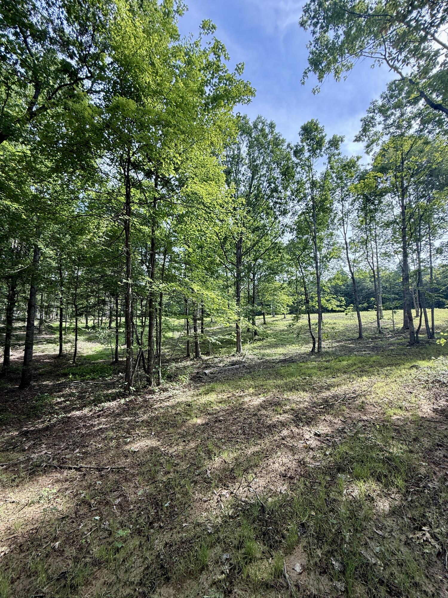 Lot 5 Hobbstown Road, Unit 5 Dunlap, TN 37327 - Photo 5 of 22 IMG_1124