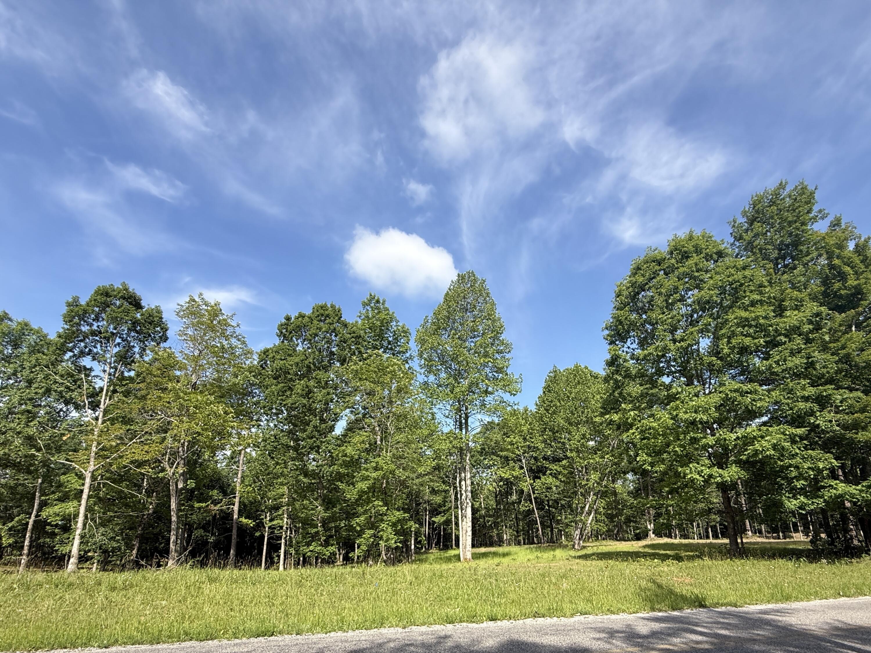 Lot 5 Hobbstown Road, Unit 5 Dunlap, TN 37327 - Photo 6 of 22 IMG_1132