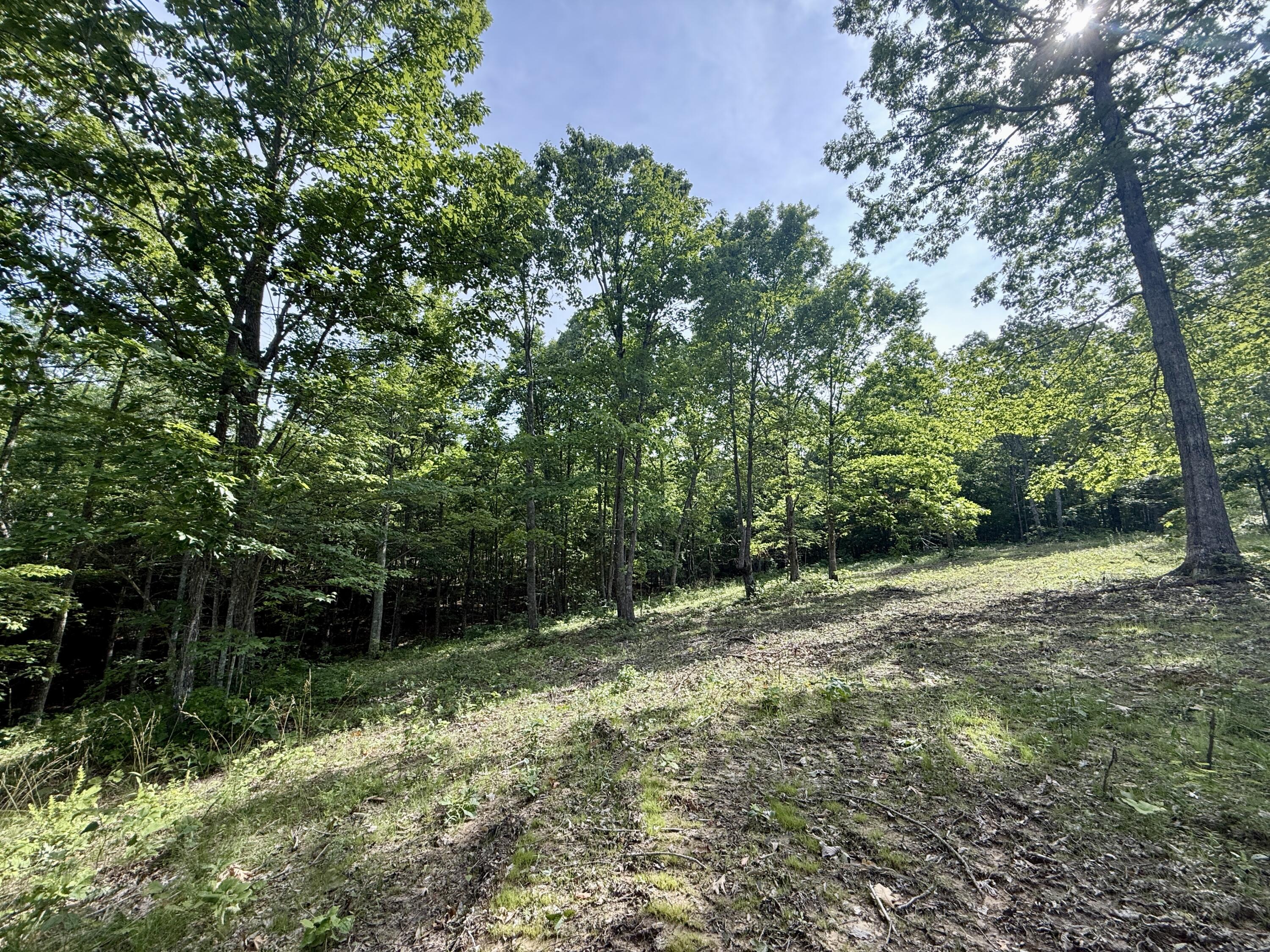 Lot 5 Hobbstown Road, Unit 5 Dunlap, TN 37327 - Photo 8 of 22 IMG_1117