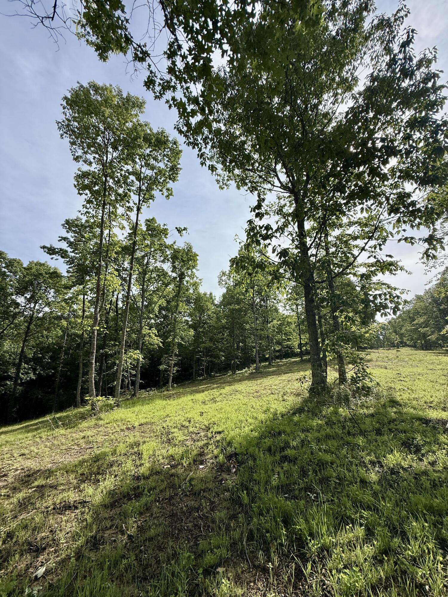 Lot 5 Hobbstown Road, Unit 5 Dunlap, TN 37327 - Photo 10 of 22 IMG_1115