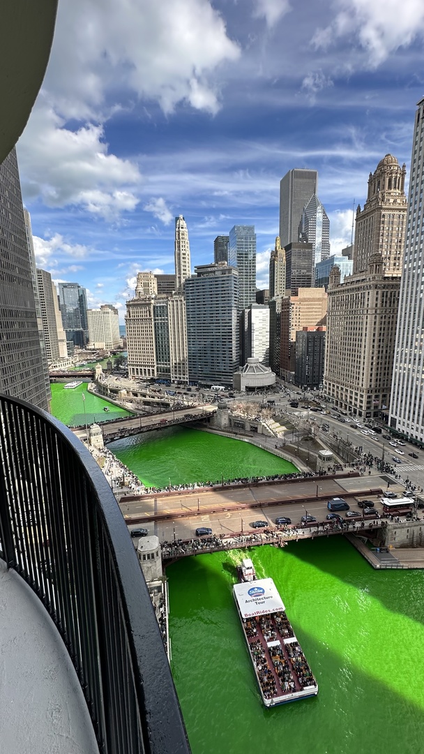 300 North State Street, Unit 2409 Chicago, IL 60654 - Photo 27 of 32