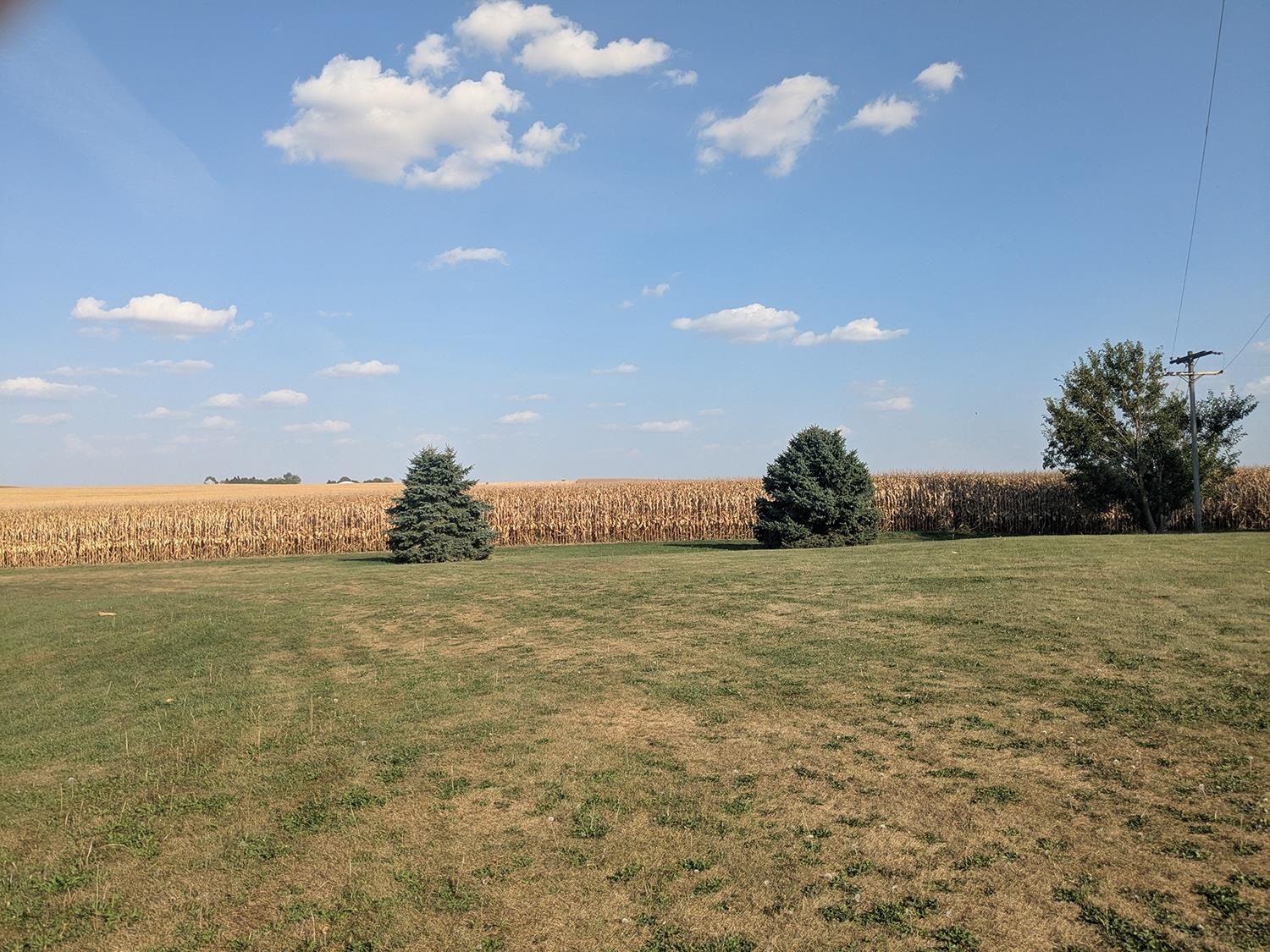 31457 Straw School Road Shannon, IL 61078 - Photo 17 of 41